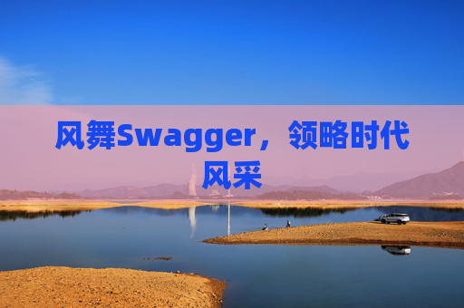 风舞Swagger，领略时代风采